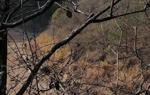 山岙水库边路 山岙水库边路