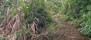 永安溪台岭岩背通往仙居中学捷径 永安溪台岭岩背通往仙居中学捷径