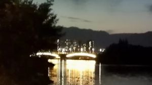 夜色下的老大桥 夜色下的老大桥