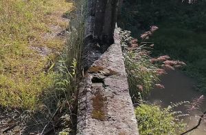 渐渐被遗忘的蚂蟥桥 渐渐被遗忘的蚂蟥桥