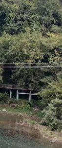 半边山 半边山