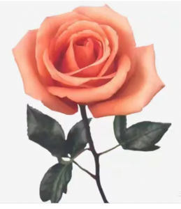 十二花神:以诗为媒,共赴四季之约 十二花神:以诗为媒,共赴四季之约