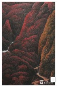 凌宝瑞画 凌宝瑞画