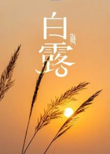 白露 白露
