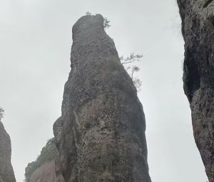 实拍图