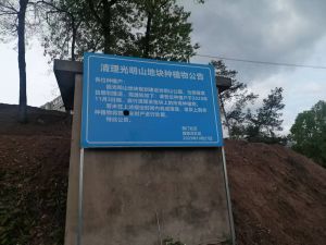 实拍图 实拍图