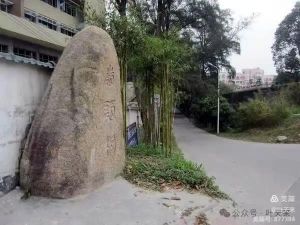 寻觅岭头农场