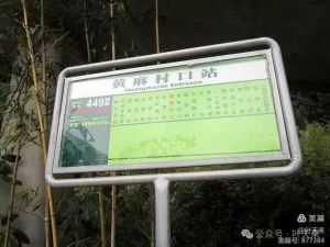 寻觅岭头农场