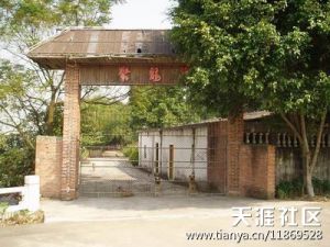 五六条狗代替了驱逐令 五六条狗代替了驱逐令