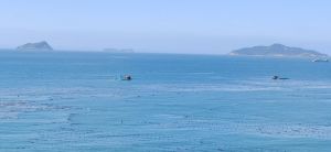 蓝色大海 蓝色大海