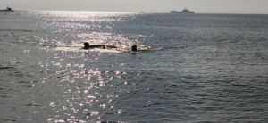 阳光洒在海面上 阳光洒在海面上